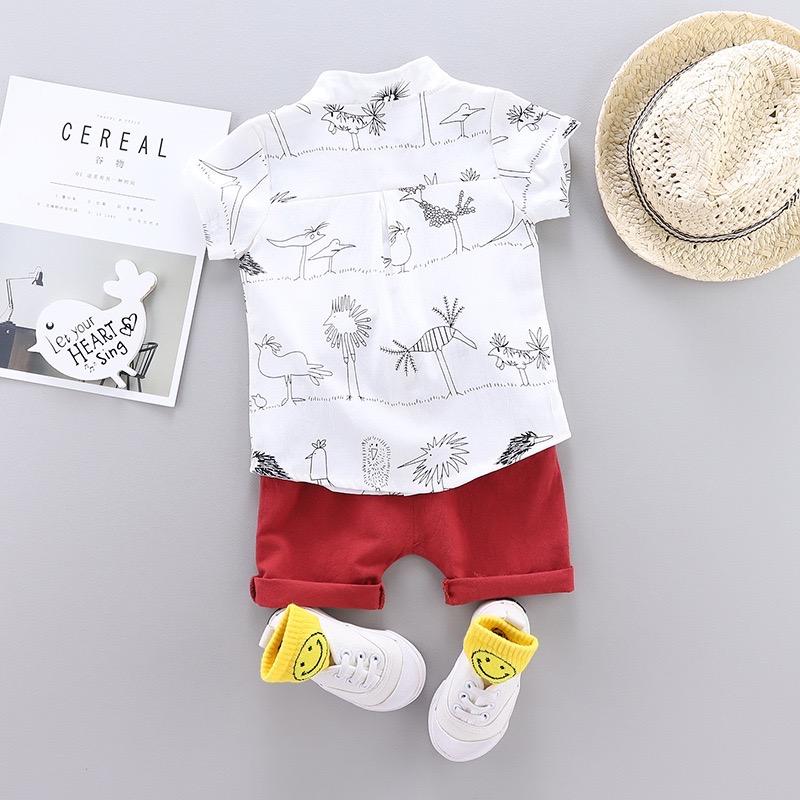Beachy Summer Set
