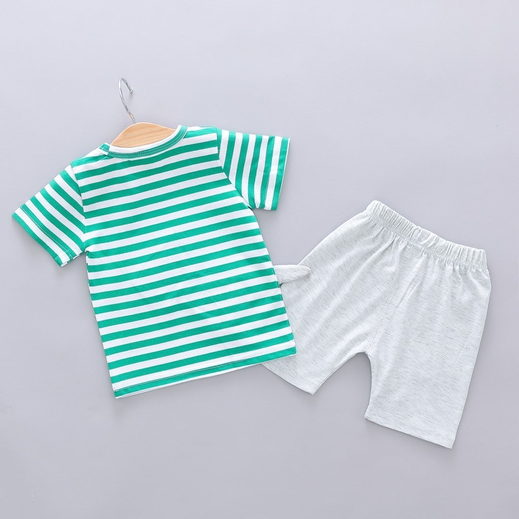 Dinosaur Made Summer Set