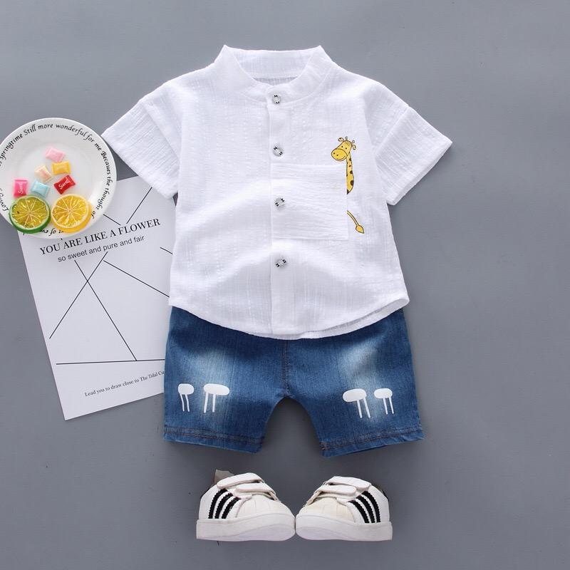 Giraffe Shirt and Shorts Set
