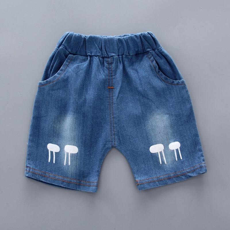 Giraffe Shirt and Shorts Set