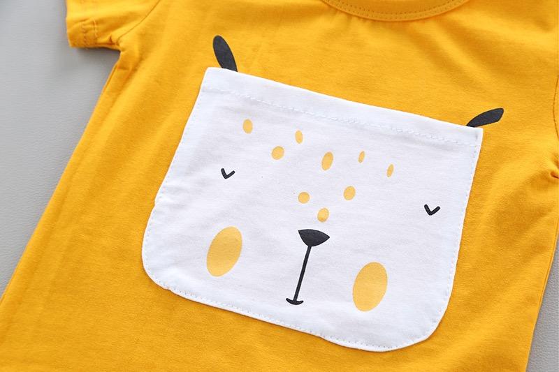 Lion printed t-shirt and summer shorts set