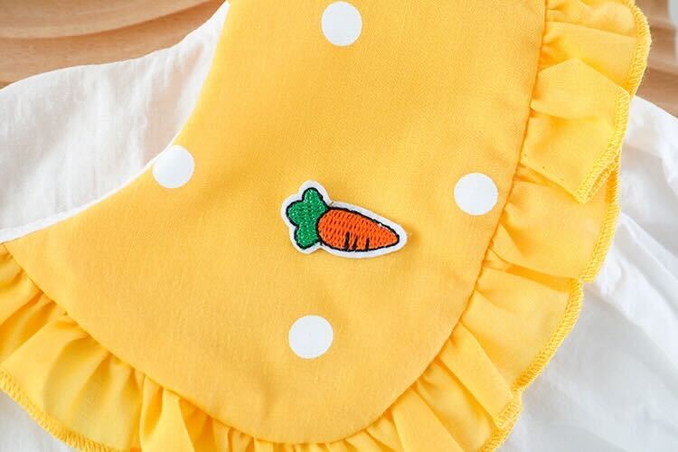 Bunny Made Summer Set