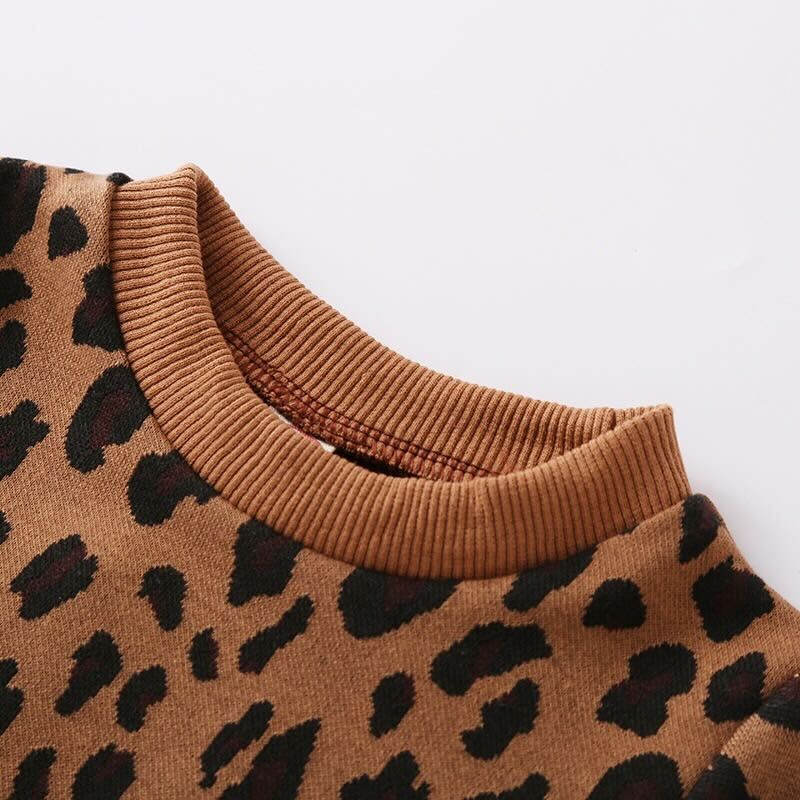 Leopard pullover and faux leather skirt set