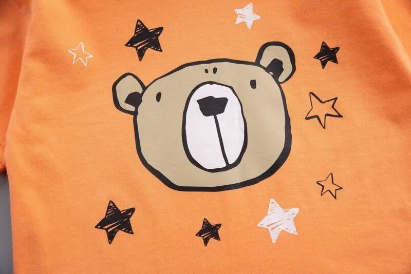 Bear summer set