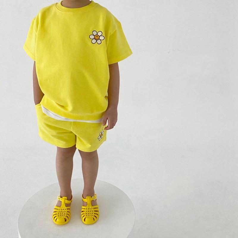 Sunflower set